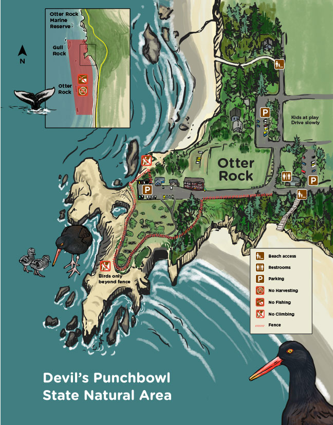 Otter Rock Marine Reserve Interpretive Map
