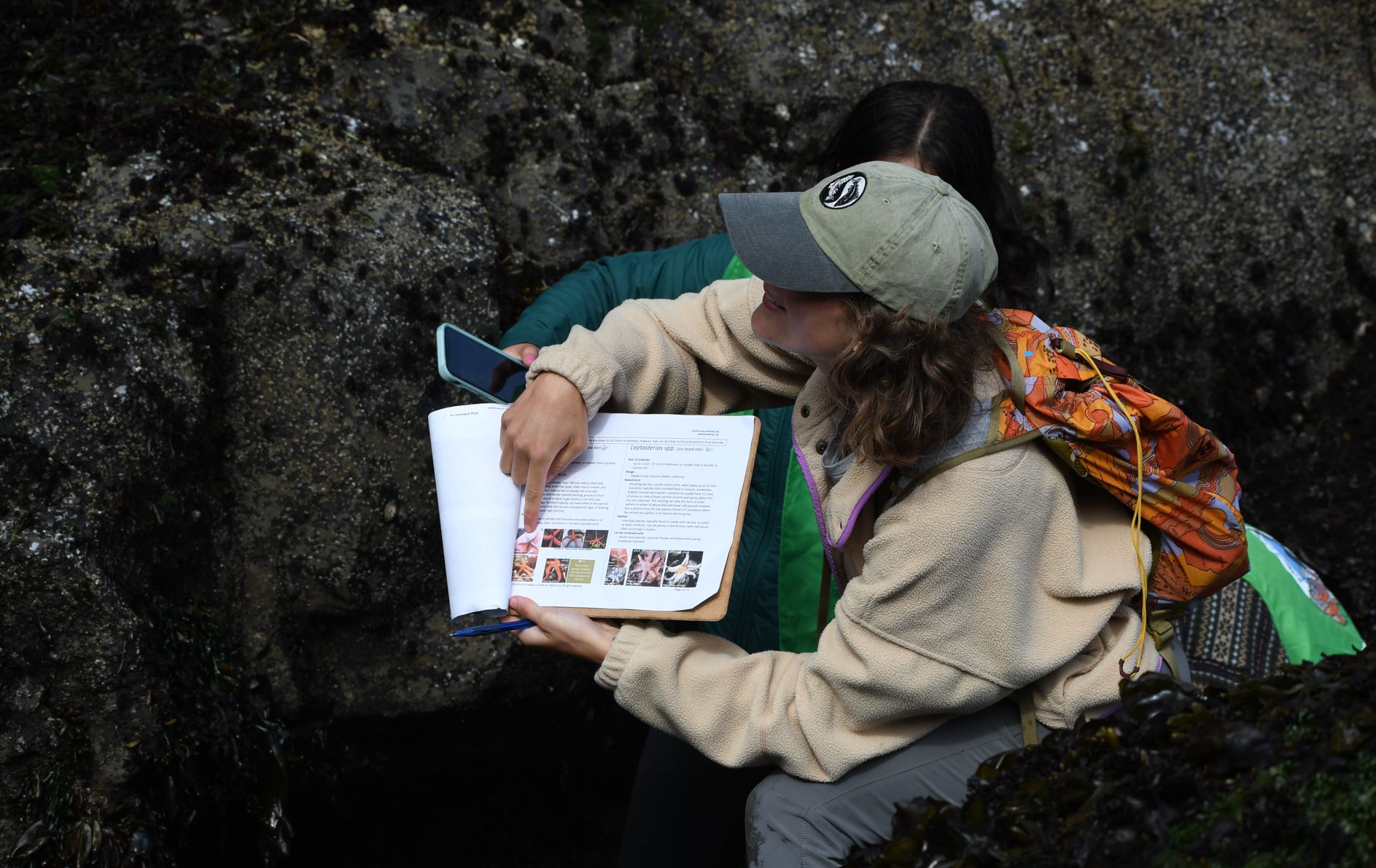 Sea Star Survey Program